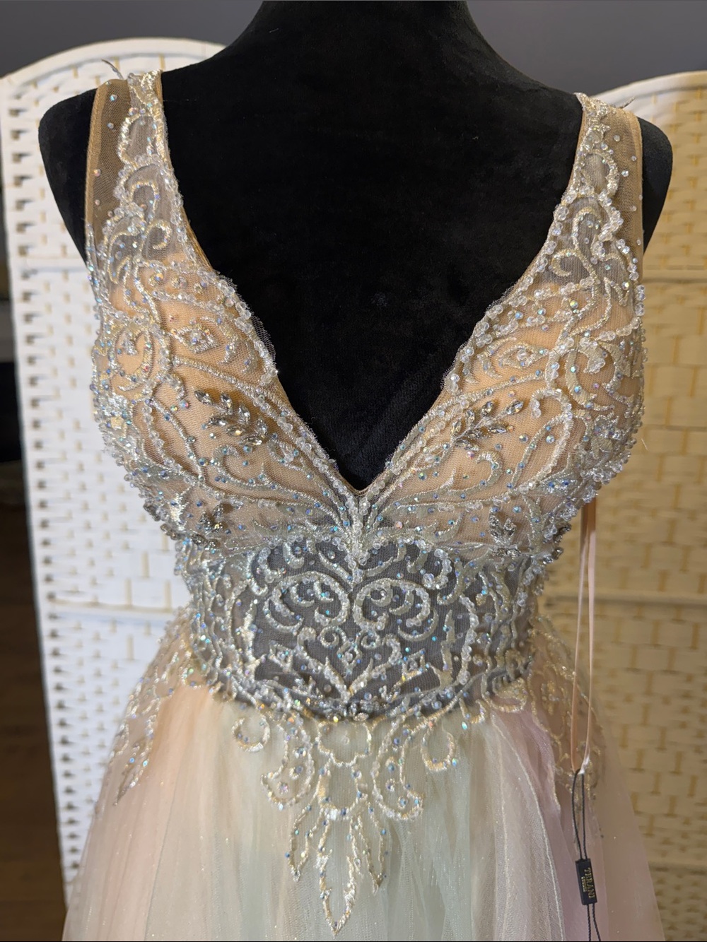 Terani Couture Pastel Ombre Tulle Prom Gown with Beaded Bodice - Picture 2 of 8